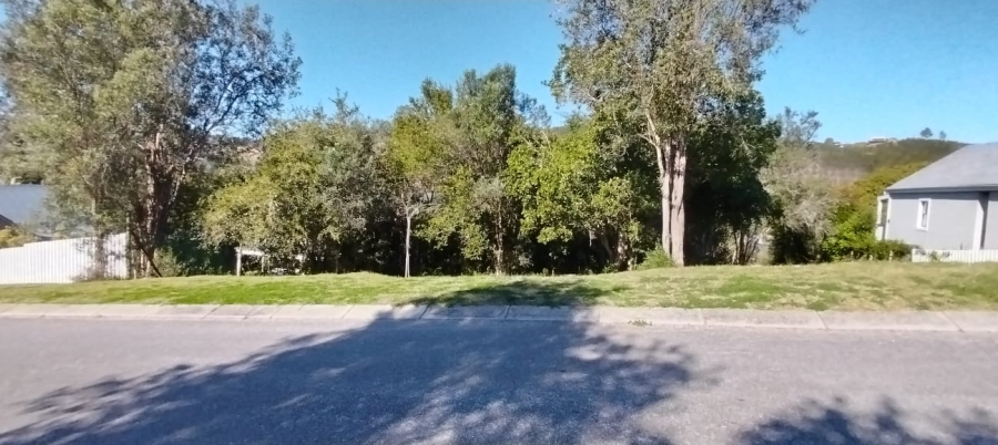 0 Bedroom Property for Sale in Green Pastures Western Cape